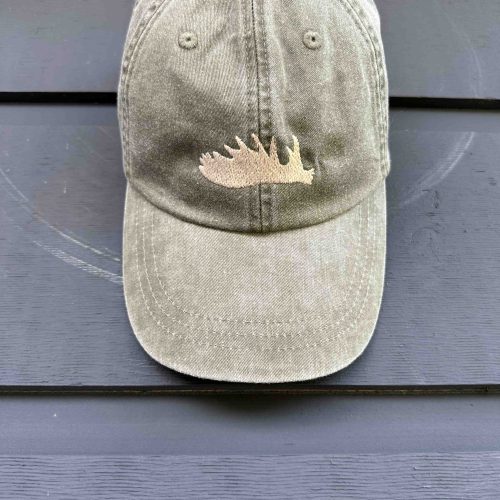 BALL CAP -  OLIVE